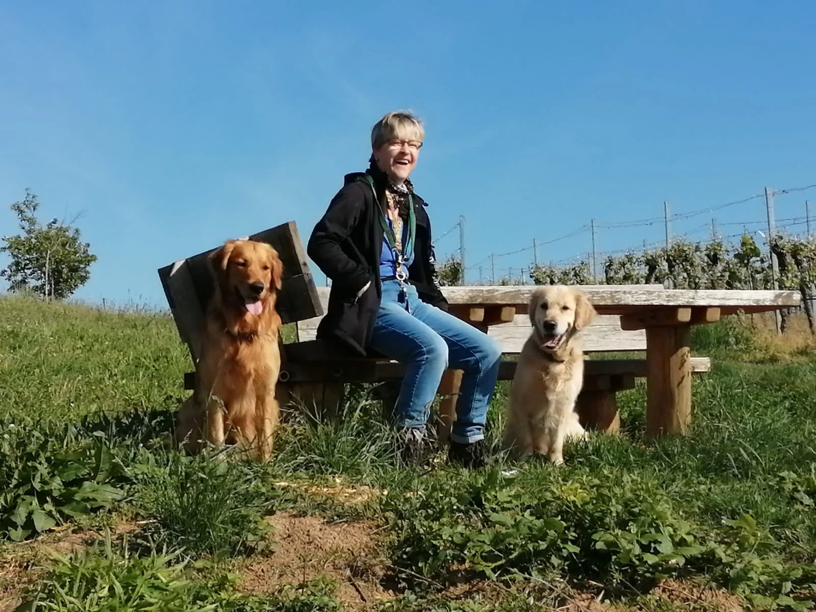 Hundetrainer mit Erfahrung